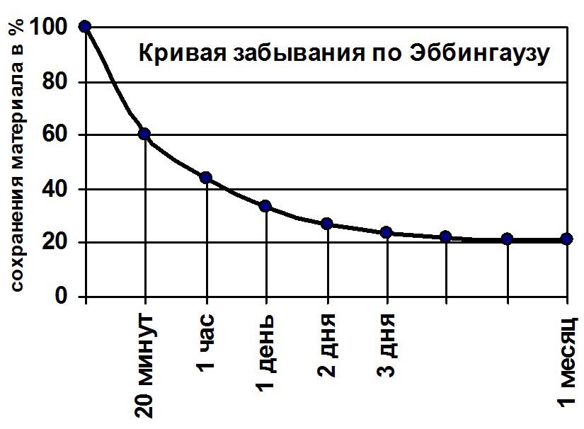 Объем памяти. Общие черты. Виды, процессы и механизмы