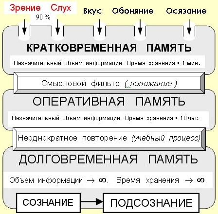 Рабочая память в психологии. Что это такое, примеры, что из себя представляет, как долго