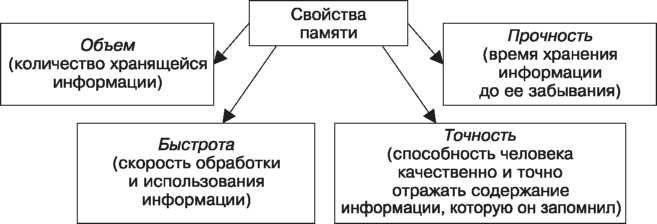 Рабочая память в психологии. Что это такое, примеры, что из себя представляет, как долго