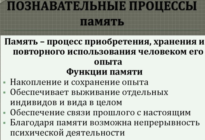 Рабочая память в психологии. Что это такое, примеры, что из себя представляет, как долго