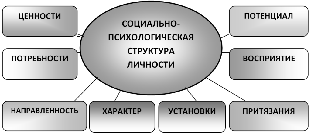 Социально-психологическая структура личности